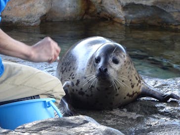 しながわ水族館に投稿された画像（2026/1/19）
