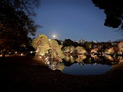 六義園に投稿された画像（2026/1/19）