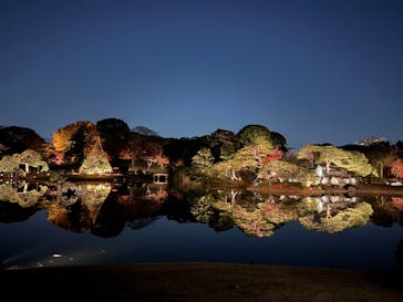 六義園に投稿された画像（2026/1/19）