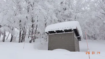 蔵王ロープウェイに投稿された画像（2026/1/19）