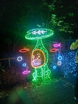 アクロス福岡イルミネーションに投稿された画像（2026/1/19）