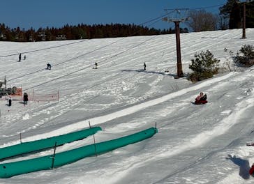 スキージャム勝山に投稿された画像（2026/1/19）