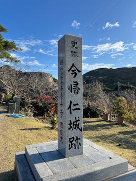 今帰仁城跡に投稿された画像（2026/1/19）