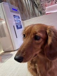 いぬカフェRio 池袋店に投稿された画像（2026/1/19）