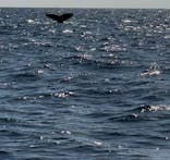 マリンクラブ ベリー 那覇店に投稿された画像（2026/1/19）