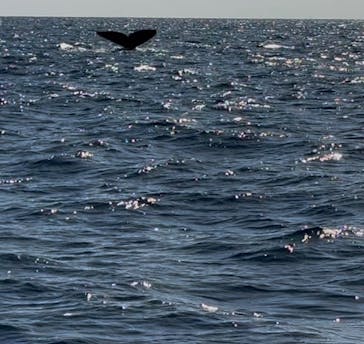 マリンクラブ ベリー 那覇店に投稿された画像（2026/1/19）