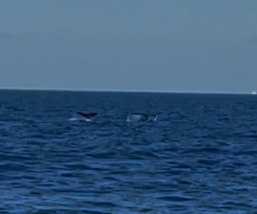 マリンクラブ ベリー 那覇店に投稿された画像（2026/1/19）