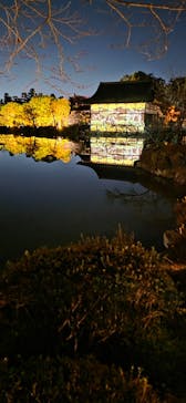 NAKEDヨルマイリ 2025-26 平安神宮に投稿された画像（2026/1/19）