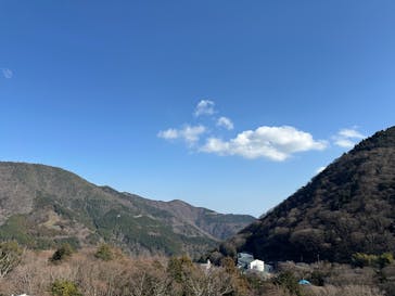 彫刻の森美術館に投稿された画像（2026/1/19）