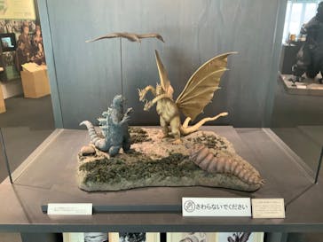 アソビュー！ポイントに投稿された画像（2026/1/19）