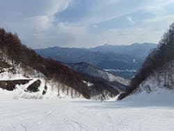 ワンダーランドOZEかたしなに投稿された画像（2026/1/19）