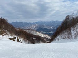 ワンダーランドOZEかたしなに投稿された画像（2026/1/19）