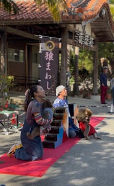 琉球村に投稿された画像（2026/1/19）