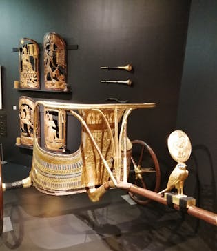 MYSTERY OF TUTANKHAMEN 体感型古代エジプト展に投稿された画像（2026/1/20）