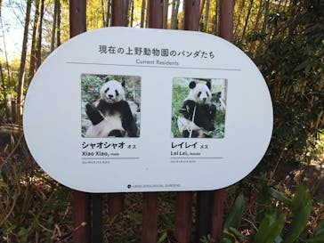 恩賜上野動物園に投稿された画像（2026/1/20）
