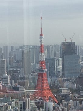 六本木ヒルズ展望台 東京シティビューに投稿された画像（2026/1/20）