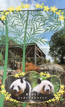 恩賜上野動物園に投稿された画像（2026/1/20）