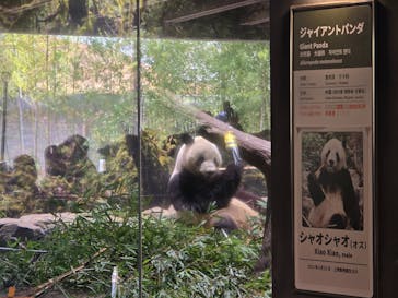 恩賜上野動物園に投稿された画像（2026/1/20）