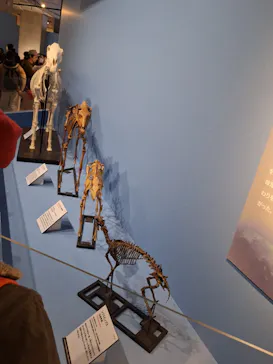 特別展「大絶滅展―生命史のビッグファイブ」に投稿された画像（2026/1/20）