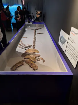 特別展「大絶滅展―生命史のビッグファイブ」に投稿された画像（2026/1/20）