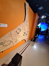 特別展「大絶滅展―生命史のビッグファイブ」に投稿された画像（2026/1/20）