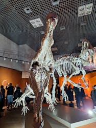 特別展「大絶滅展―生命史のビッグファイブ」に投稿された画像（2026/1/20）