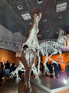 特別展「大絶滅展―生命史のビッグファイブ」に投稿された画像（2026/1/20）