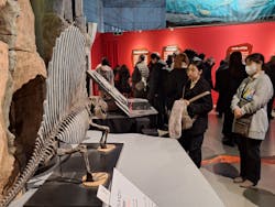 特別展「大絶滅展―生命史のビッグファイブ」に投稿された画像（2026/1/20）
