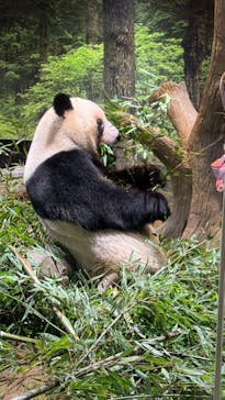 恩賜上野動物園に投稿された画像（2026/1/20）