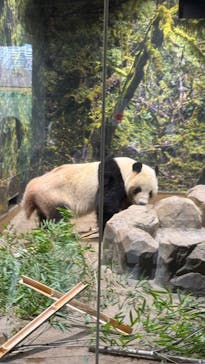 恩賜上野動物園に投稿された画像（2026/1/20）