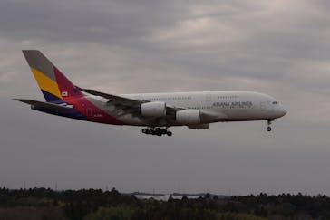 航空科学博物館に投稿された画像（2026/1/20）