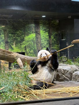 恩賜上野動物園に投稿された画像（2026/1/20）