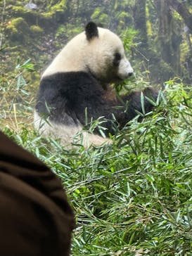 恩賜上野動物園に投稿された画像（2026/1/20）