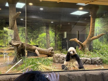 恩賜上野動物園に投稿された画像（2026/1/20）