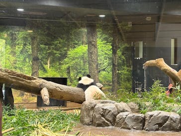 恩賜上野動物園に投稿された画像（2026/1/20）