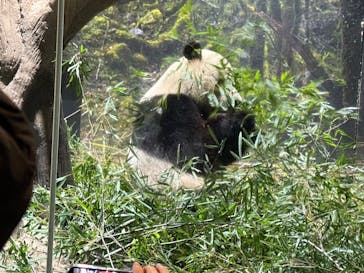 恩賜上野動物園に投稿された画像（2026/1/20）