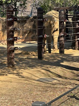 恩賜上野動物園に投稿された画像（2026/1/20）