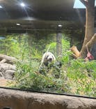 恩賜上野動物園に投稿された画像（2026/1/20）