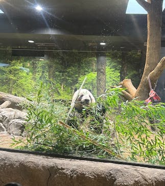 恩賜上野動物園に投稿された画像（2026/1/20）