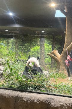 恩賜上野動物園に投稿された画像（2026/1/20）