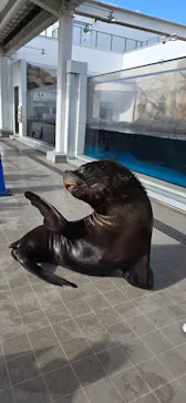 仙台うみの杜水族館に投稿された画像（2026/1/20）
