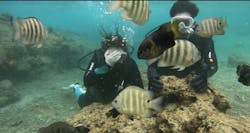 武藤潜水に投稿された画像（2026/1/20）