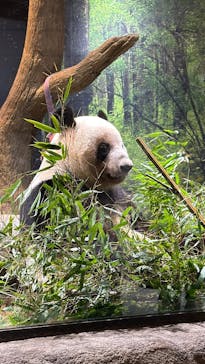 恩賜上野動物園に投稿された画像（2026/1/20）
