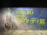 NAKED meets ガウディ展に投稿された画像（2026/1/20）