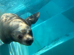 マリンワールド海の中道に投稿された画像（2026/1/20）