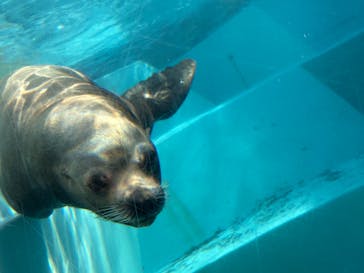 マリンワールド海の中道に投稿された画像（2026/1/20）