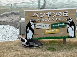 マリンワールド海の中道に投稿された画像（2026/1/20）