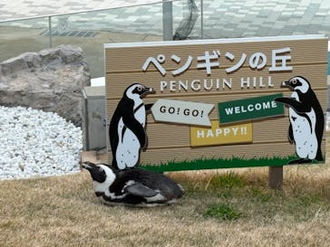 マリンワールド海の中道に投稿された画像（2026/1/20）