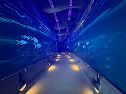 マリンワールド海の中道に投稿された画像（2026/1/20）