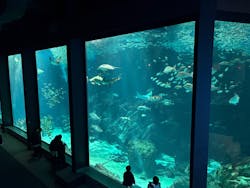 マリンワールド海の中道に投稿された画像（2026/1/20）